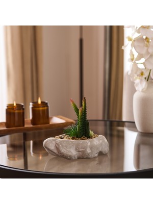 PremiumPort Modern Asimetrik Saksılı Yapay Kaktüs, Gri, 16X6X19 cm