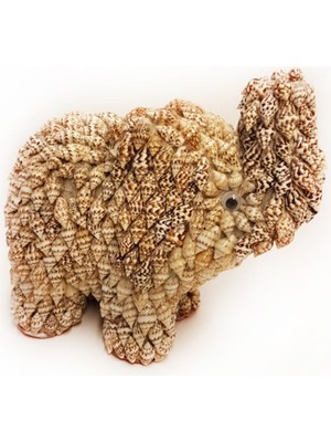 PremiumPort Nassa FIG08 Kabuklu Fil Biblo, Şık ve Doğal Dekorasyon Parçası