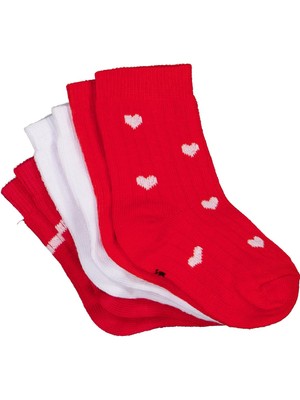 Civil Baby Kalp 3'lü 6-18 Ay Bebek Kız Çorap Set - Standart 12 Ay