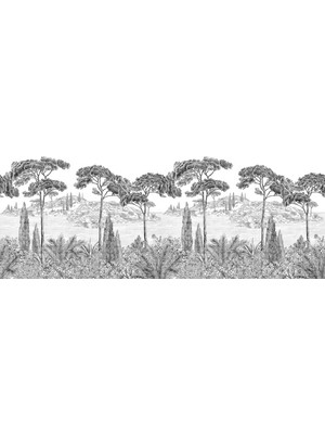 Arterior Wallpaper Siyah Beyaz Manzara Poster Duvar Kağıdı