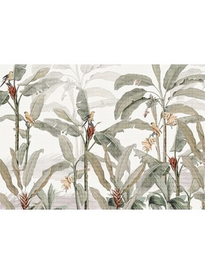 Muz Ağaçları Papağanlar Poster Duvar Kağıdı