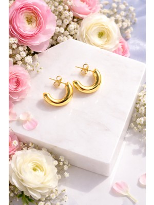 Yush Aksesuar Pınterest Bombeli Çelik Küpe