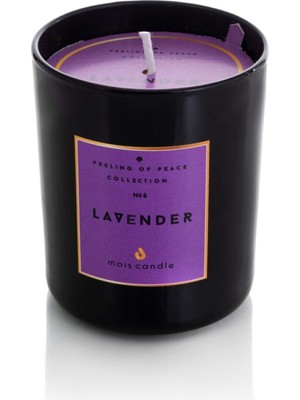 PremiumPort Lavanta Kokulu Dekoratif Bardak Mum, Şık ve Hoş Aromalı Ev Dekorasyonu