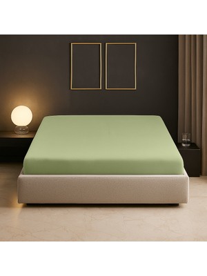 Sabia Soft Touch %100 Pamuk 62 Tel – 200X200 +37 cm Yüksekliğe Kadar Uygun Battal Boy Lastikli Çarşaf Zeytin