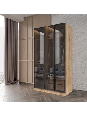 Afilli Altay Kayra Füme Camlı Alimünyum Kapaklı 2 Çekmeceli Giyinme Dolabı LED Askılıklı Tamamı Mdf