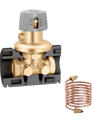 Caleffi 140462 - DN25 Fark Basınç Kontrol Vanası, 250-600MBAR