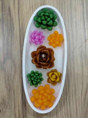 PremiumPort 7’li Mini Dekoratif Kaktüs Kokulu Mum Seti, Şık ve Hoş Kokulu Hediye