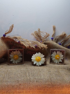 PremiumPort Papatya Şekilli Yüzen Mum Seti, Vazo Dekoru, Kokusuz ve Şık Tasarım