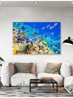 SML Tablo Denizaltı Renkli Balıklar Mercanlar Çizgili Balıklar Su Altı Dünyası Yatay Kanvas Tablo