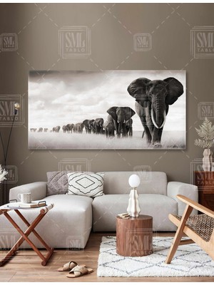 SML Tablo Yürüyen Fil Sürüsü Afrika Hayatı Elephant Family Enine Yatay Kanvas Tablo