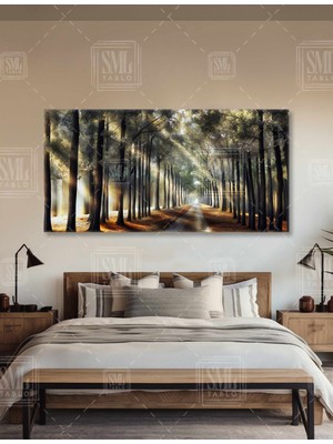 SML Tablo Orman Işık Güneş Hüzmesi Işıltılı Yol Yaşlı Ağaçlar Orman Enine Yatay Kanvas Tablo