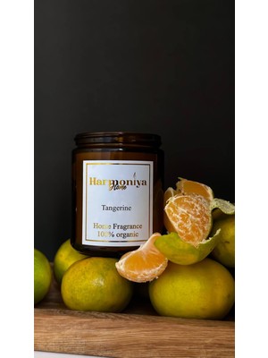 PremiumPort Mandalina Aromalı Soyalı Mum 280 ml Kapaklı, Ferah ve Doğal Atmosfer