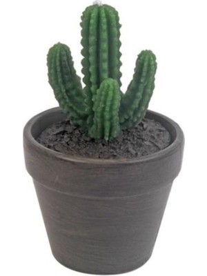 PremiumPort Yeşil Bitki Süsü, Doğal ve Şık Dekoratif Aksesuar