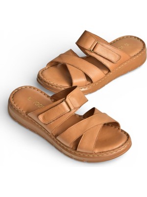 Fox Shoes Y555532503 Taba Hakiki Deri Kadın Terlik