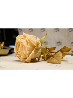 BRANDSMITHS Gerçekçi Görünümlü Yapay Şampanya Gülü