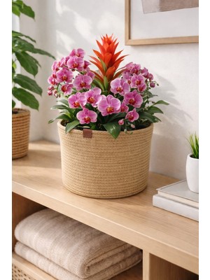 Soft Home Jüt Organşzer Sepet /saksı Kılıfı