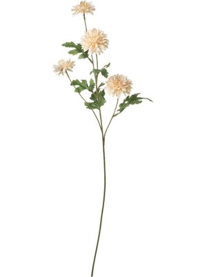 Ikea Smycka Yapay Çiçek Beyaz 71 cm Kasımpatı 30606045