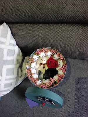 Ceku Home Tasarım Kutulu Işıklı Ayıcıklı Kadife Gül Hediye Kutusu Sevgililer Günü Hediyesi