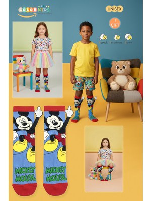 Color Socks 1 Çift Parmak Işaretli Mavi Çizgi Karakterli Çorap (Extra Soft)