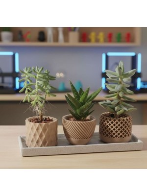 3D Boyuthane Dekoratif Saksı Seti (3’lü)