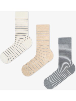 Penti Erkek Renkli Calm Stripes 3'lü Soket