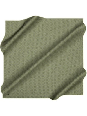 Aker Ipek Eşarp - 8991713-951 Yeşil Twill