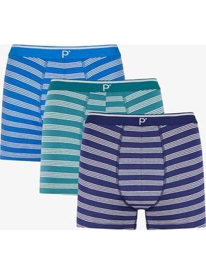 Penti Erkek Renkli Blue Çizgili Çoklu Boxer