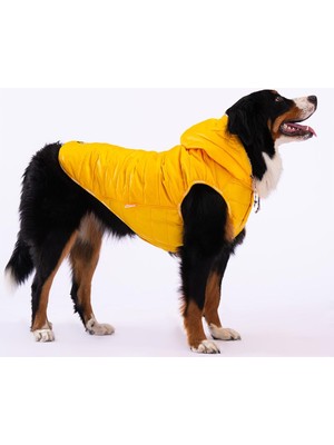 Braventa Collection Pawstar Railway Sarı Su Itici Orta-Büyük Irk Köpek Yelek Yağmurluk (3xl)