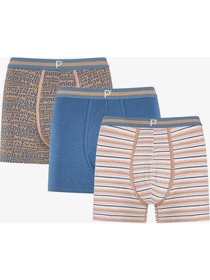 Penti Erkek Renkli City Grid Çoklu Boxer