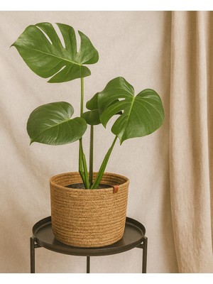 Efuliz Home Jüt-Hasır Çok Amaçlı-Dekoratif-Organizer Saksı Sepeti, Bahçe Düzenleyici Sepet. (En:20-Boy:15 Cm)