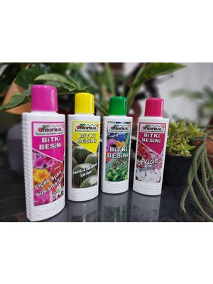 Yıldız Tozu Çiçek Tasarım