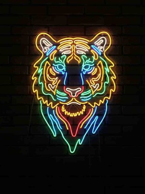 Kamer Neon LED Işıklı Kaplan
