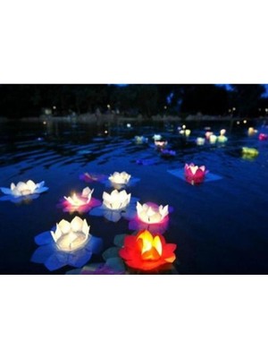 Marsilyan Nilüfer Çiçeği Su Feneri