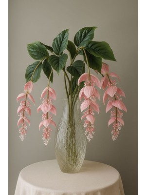 PremiumPort Pembe 2 Dallı Sarkan Orkide Saksı Süsü, Ev Dekorasyonu Için Şık Seçim