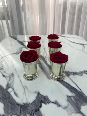 Teknotrust 6'lı Gümüş Sunumluk ve Gül Kovası Seti, Şık Dekorasyon Aksesuarı