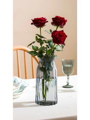 PremiumPort Şık Gri Cam Vazo 24 Cm, Modern Dekorasyon Için Mükemmel Seçim