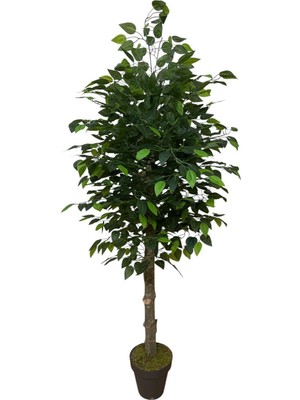 PremiumPort 120 cm Yoğun Yapraklı Yapay Benjamin Ağacı, Plastik Saksılı