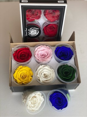 PremiumPort 6'lı Karışık Xl Şoklanmış Gül Seti, Solmayan ve Canlı Görünüm