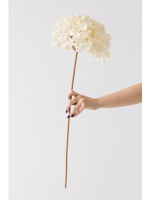 Teknotrust Yapay Vazo Çiçeği Ortanca 75 Cm, 5 Dal, Krem Renkli, Şık Dekorasyon