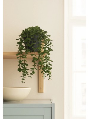 PremiumPort Canlı Sarkan Okaliptus Yapay Bitki Saksıda, Dekoratif ve Şık Tasarım