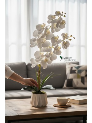 PremiumPort Beyaz Islak Orkide Seramik Saksıda Şık ve Doğal Dekorasyon Ürünü