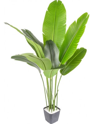 PremiumPort Gerçek Dokulu Yapay Ağaç Starliçe 10 Yaprak Yeşil 120 cm