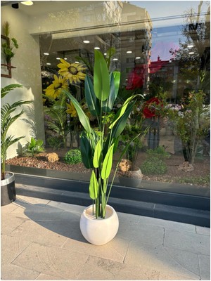 PremiumPort Yapay Ağaç ve Starliçe Salon Çiçeği, 180 Cm, Saksı ve Dolomit Taşıyla Şık Şekilde