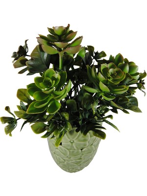 PremiumPort Yeşil Sukulent Yapay Çiçek Ara Malzeme Demeti, Dekoratif ve Dayanıklı