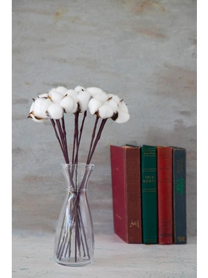 PremiumPort 10 Adet Doğal Pamuk Dalları, Dekoratif Çiçekler, Ev ve Hobi Için