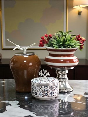 PremiumPort Şah Ceramic Kahverengi Zebra Ayaklı Saksı ve Dekoratif Kutu Seti