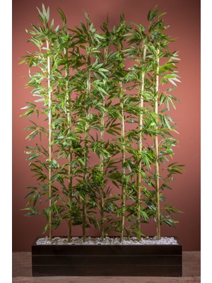 PremiumPort Siyah Saksıda 170 cm Uzun Bambu Bölücü Çok Amaçlı Organizatör