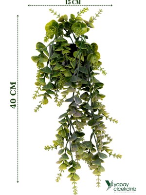 PremiumPort Siyah Saksıda Yeşil Okaliptus Sarkıtı, Taş Detaylı, Dekoratif ve Şık