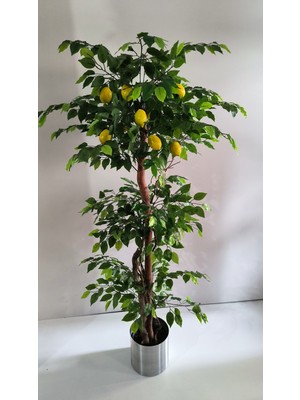 PremiumPort Yapay Limon Ağacı, 160 Cm, Doğa Güzelliği ve Şıklık Katıyor