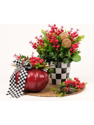 PremiumPort 3 Parça Kabak Set No:4, Sağlıklı ve Şık Bahçe Dekorasyonu